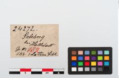 Etiketten zu Bronzevogelkopffibel (NHMW-PRAE-024272)